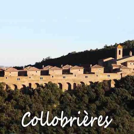 T3 Neuf Centre Village Collobrières Exterior foto